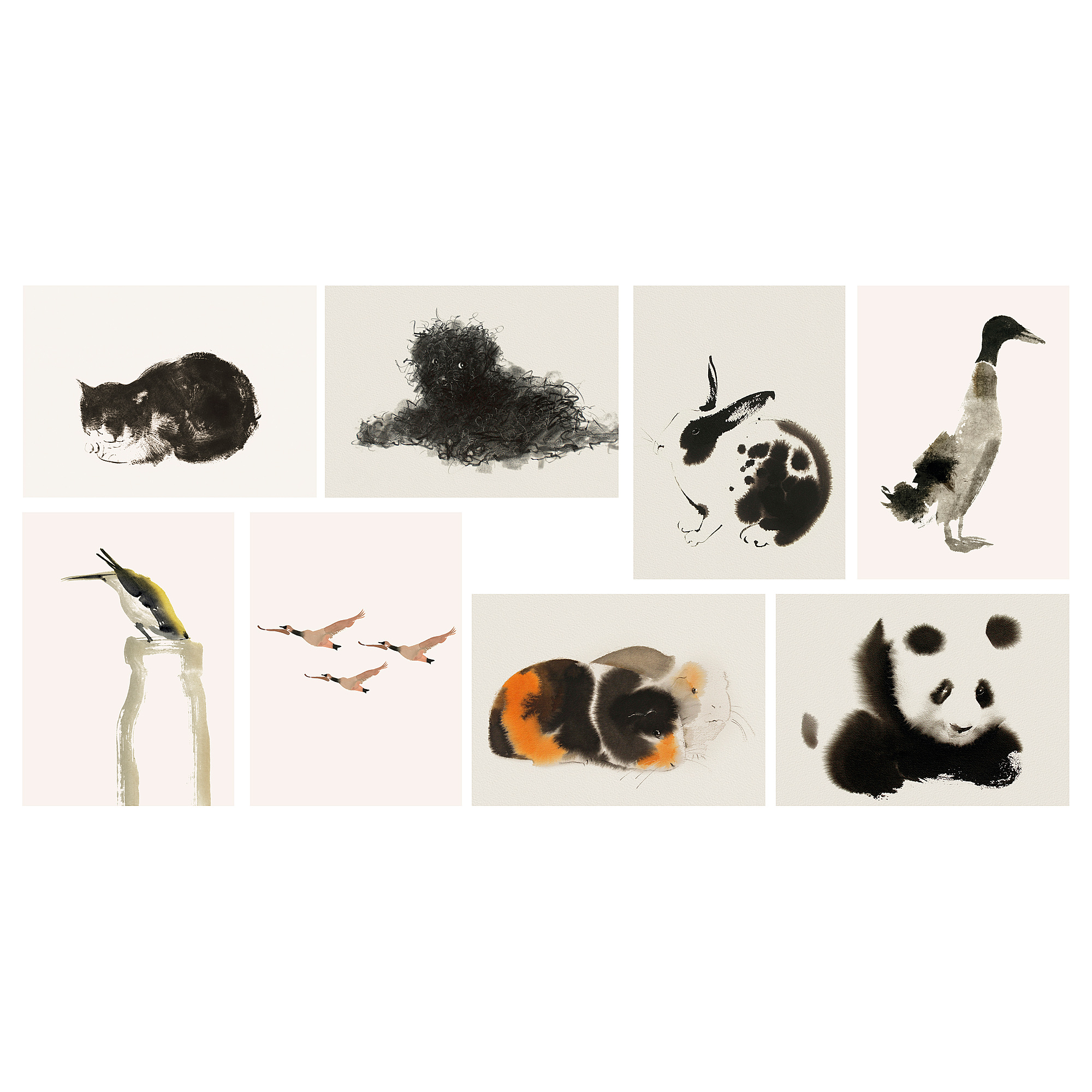 動物肖像圖卡｜13x18cm