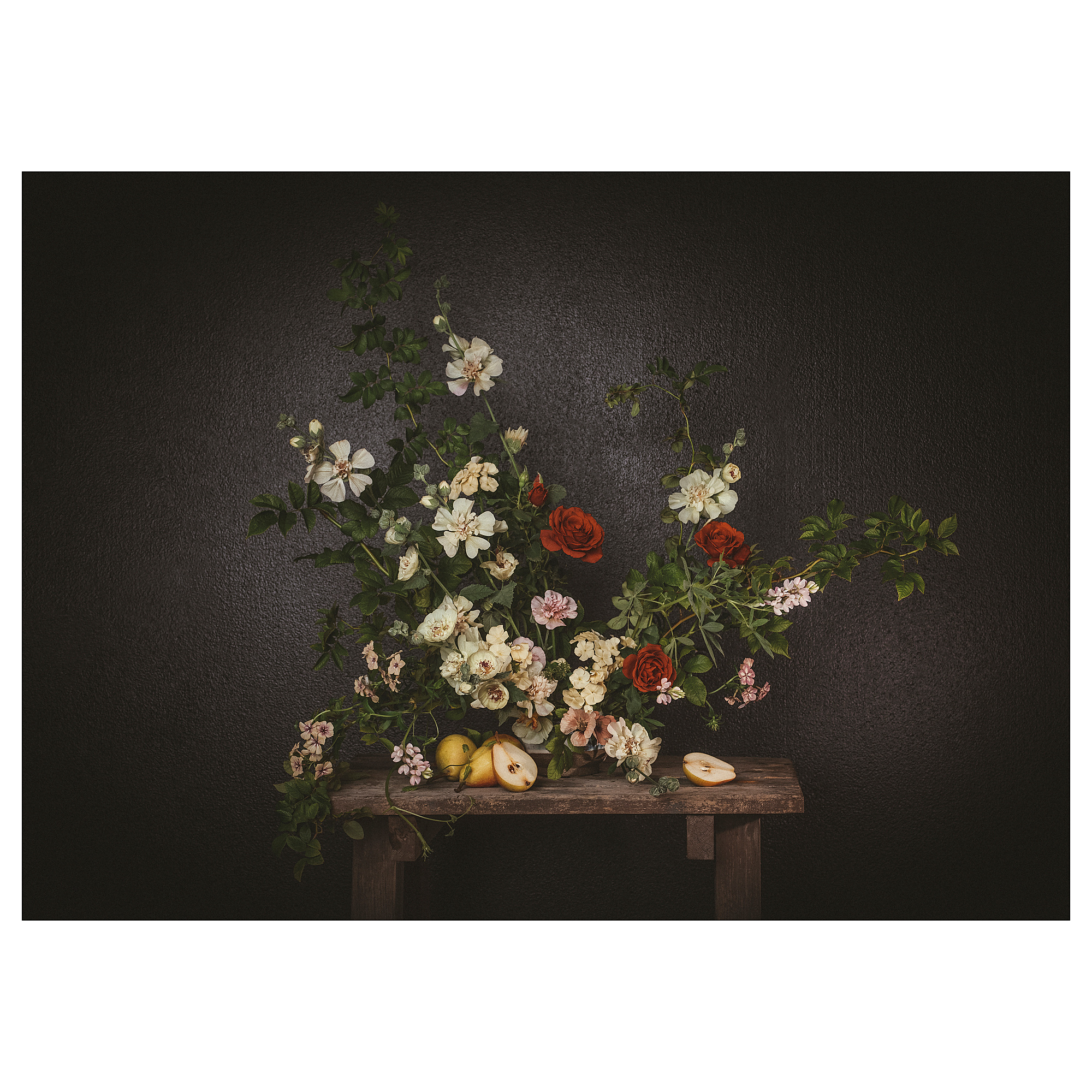 黑牆前的花無框畫｜70x50cm
